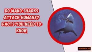 Do Mako Sharks Attack Humans? Facts You Need to Know