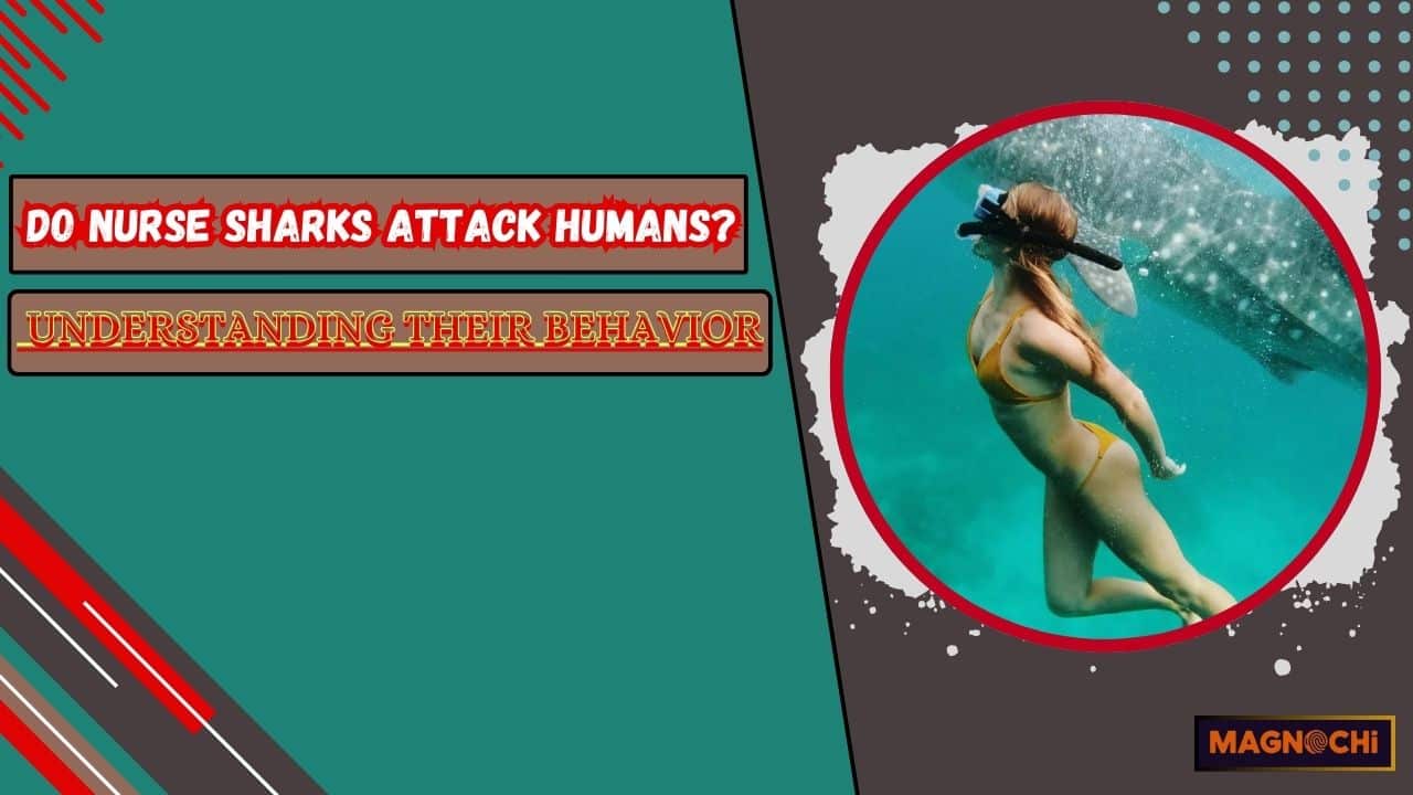 Do Nurse Sharks Attack Humans? Understanding Their Behavior