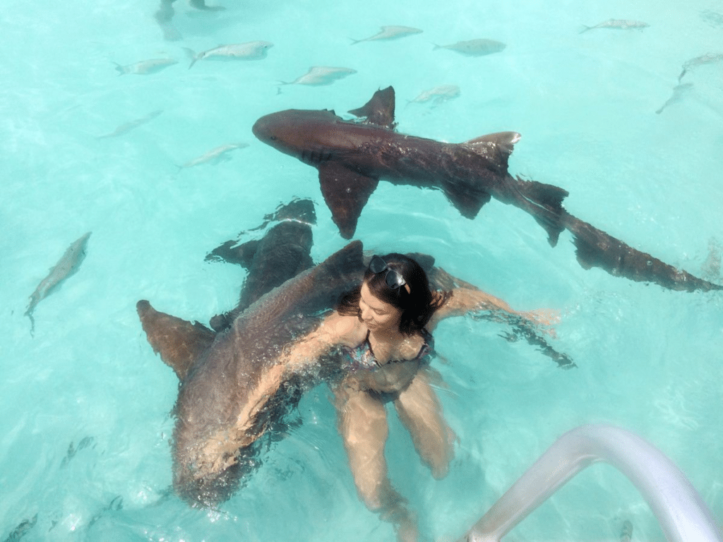 How Dangerous Are Nurse Shark Bites?